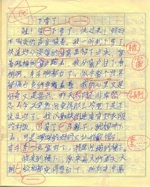 雪作文300字