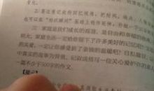 运动会精彩瞬间作文