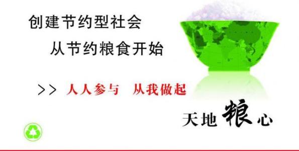 600字的节食成分