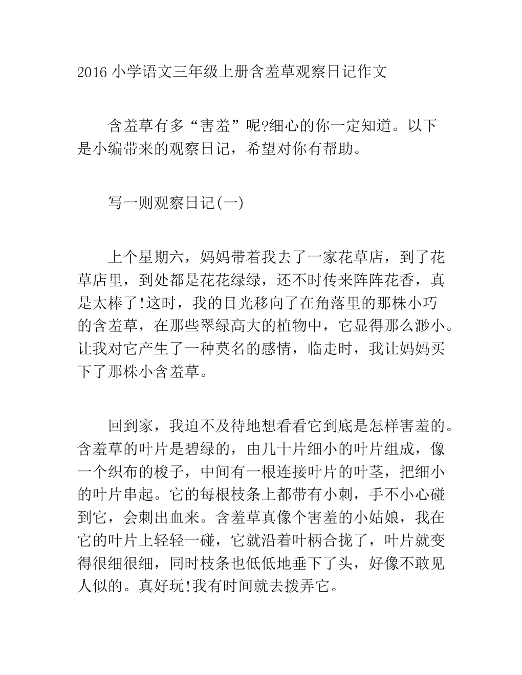 含羞草作文200字