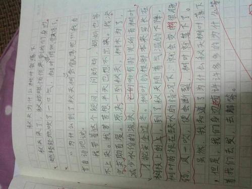 你自己组成什么