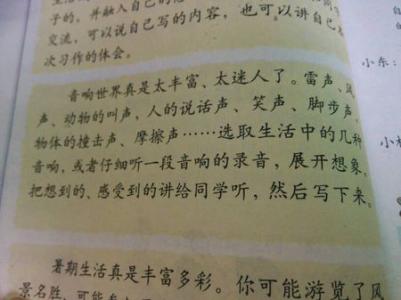 写一个伴侣的作品