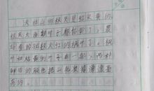 禁毒教育作文800字