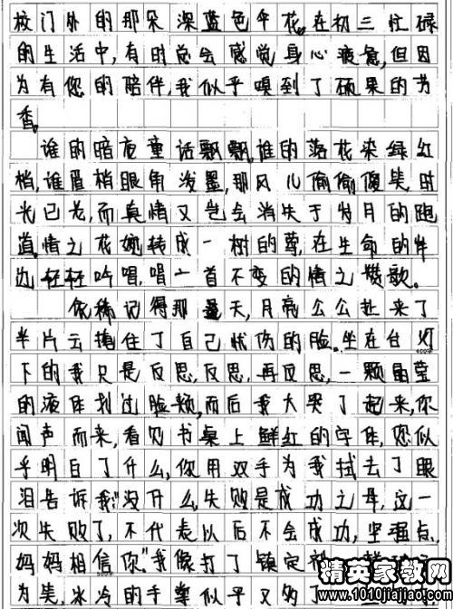 体育大会组成250字
