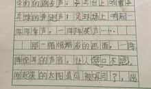 五年级写事作文