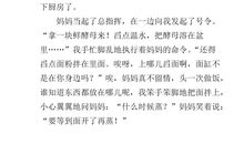 学做家务的作文