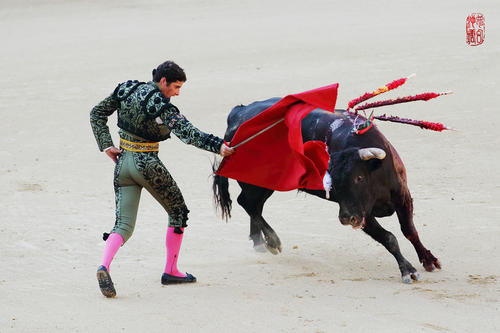 斗牛电影评论家