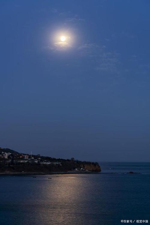 阅读琵琶后的感想