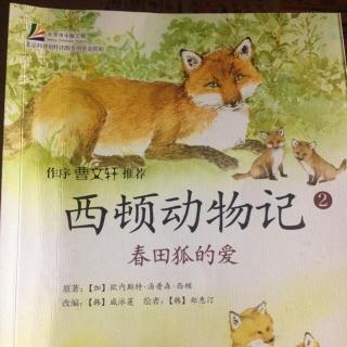 斯普林菲尔德·福克斯的爱情读物