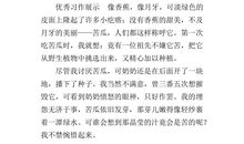 生活中的启示作文