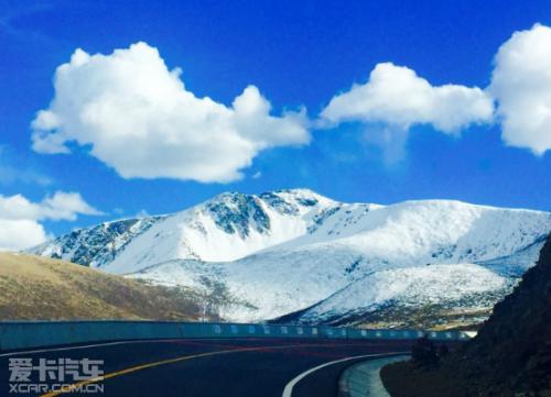 阅读后的蓝海豚