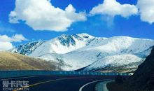 蓝色的海豚读后感