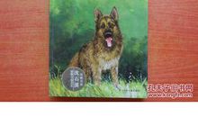 第七只猎狗读后感