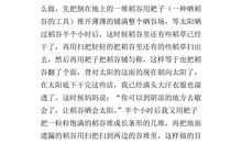 关于体验活动的作文