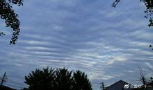 事无两样，心有别