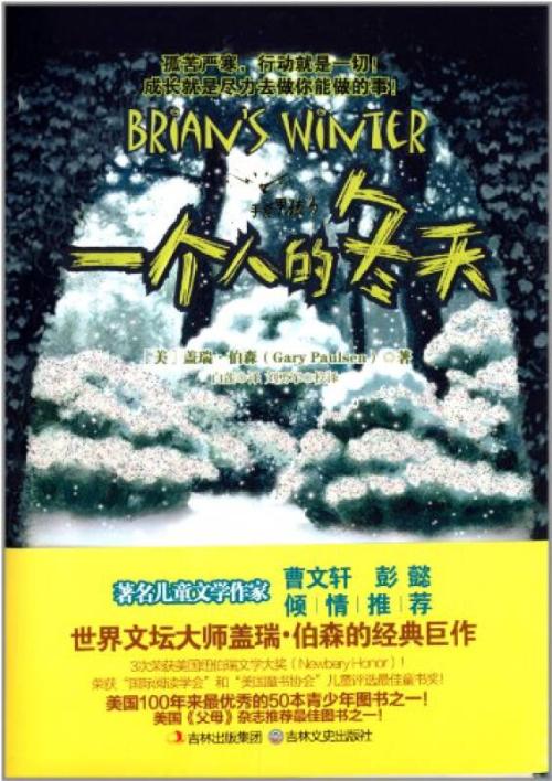 阅读后的手斧男孩1