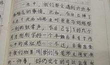 期待的眼神作文