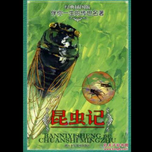 看完《昆虫蝉》之后