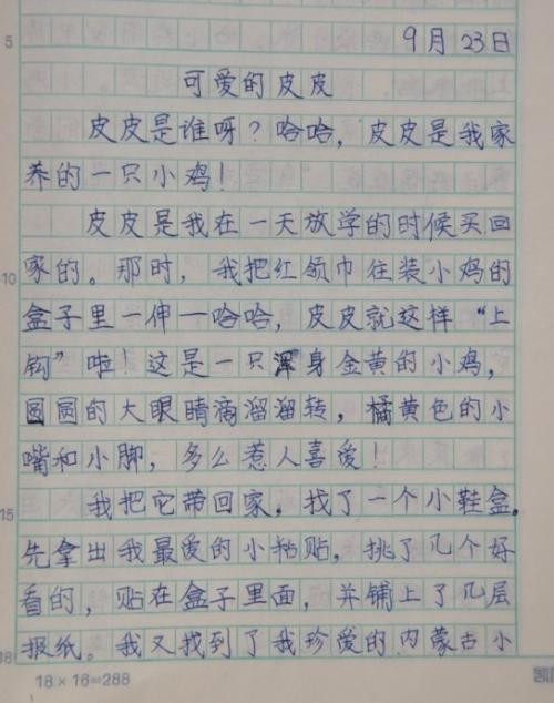 动物启蒙作文900字