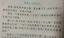 互相关爱的作文200字