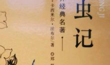 泥水匠蜂读后感