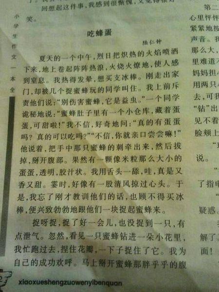 家庭趣味随笔450字