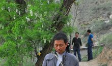 乡村医生读后感