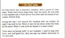 黑骏马英语读后感