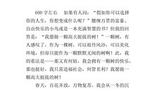 我的心愿小学作文