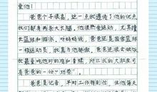 我的父亲高中作文800字