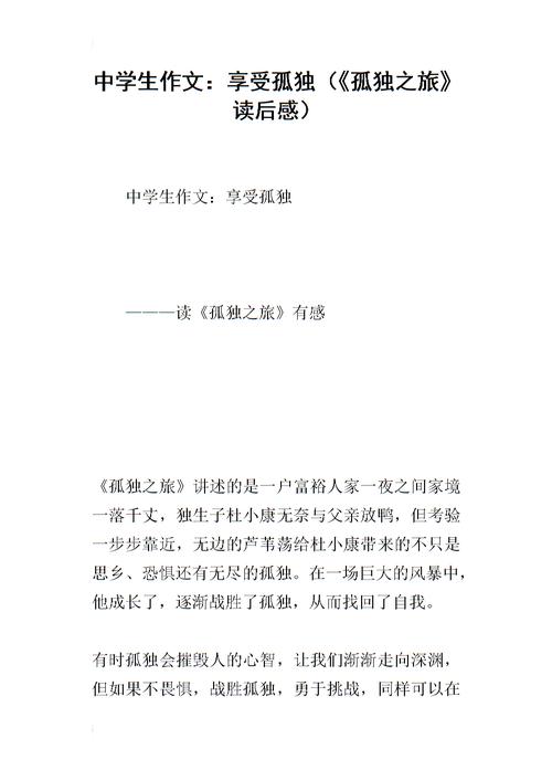 孤独的旅程组成