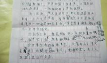 关于父爱母爱的作文