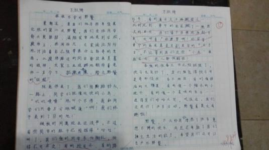 难忘的野餐成分