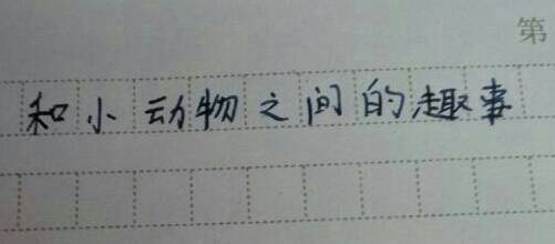 动物是人类朋友的组成