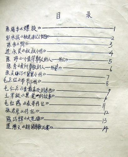 描述初中生活的作品