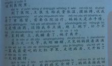 狗的自述作文500字