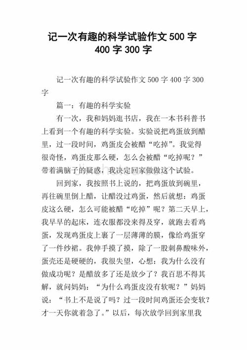 记忆300字的作文以进行辩论