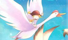 尼尔斯骑鹅历险记读后感