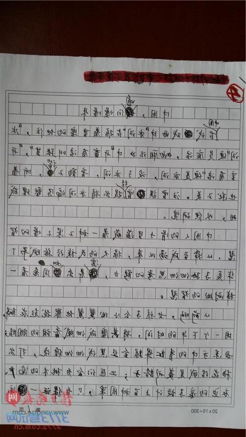 2016年江苏省高考满分作文:梁剑静