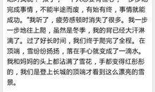 我和小伙伴作文