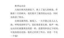 运动会的作文500字