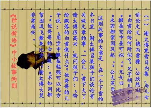 杨氏儿子的思想