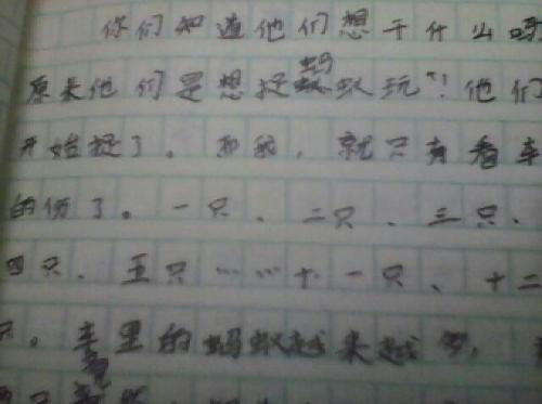 关于蚂蚁的启发组成