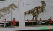 动物大逃亡读后感