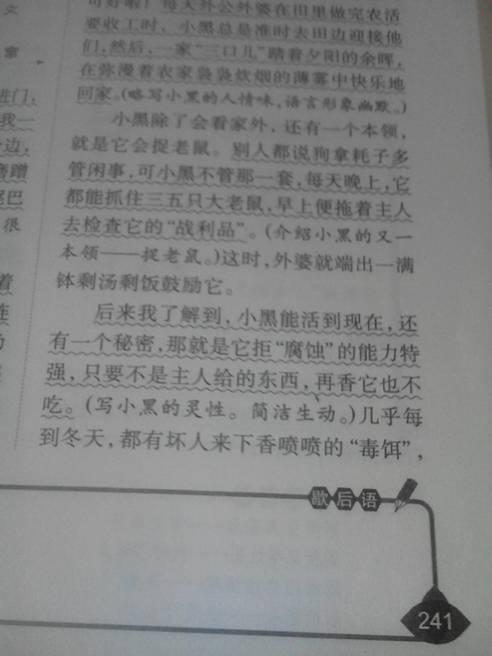 写一篇关于小动物的文章