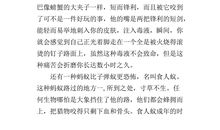 蚂蚁的启示作文500字