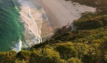 天蚕土豆经典语录