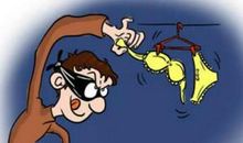 有风格的小偷读后感