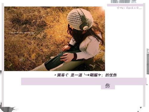 沉宝峰经典语录