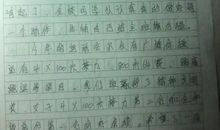 运动会的作文600字